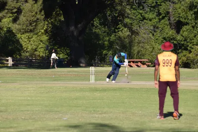 DSC_2342 (Large).JPG